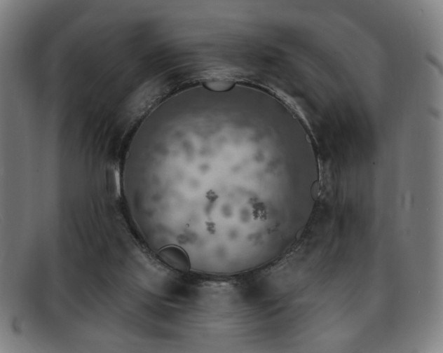 X0000092040061200709121201