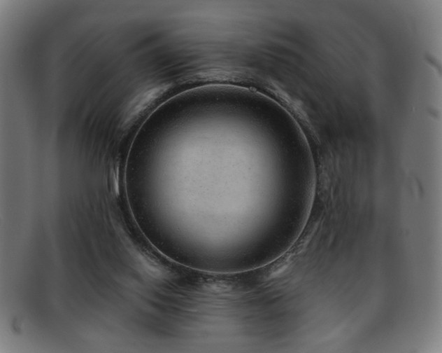 X0000092040062200709121201