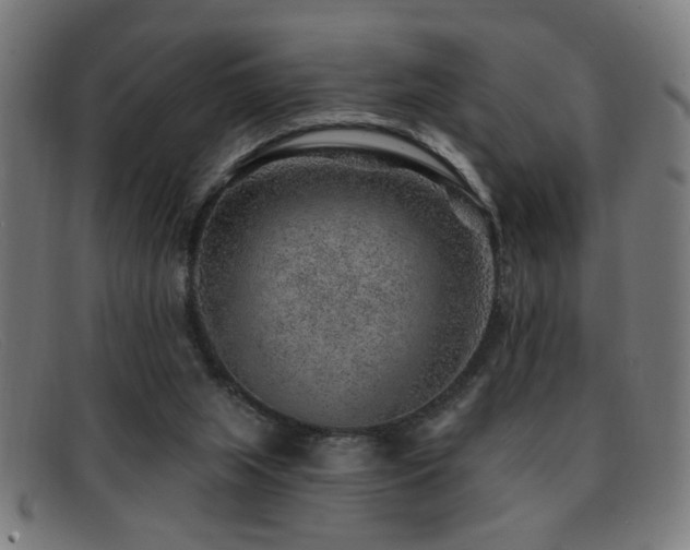 X0000092040063200709121201