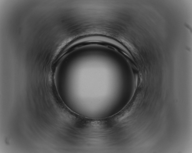 X0000092040064200709121201