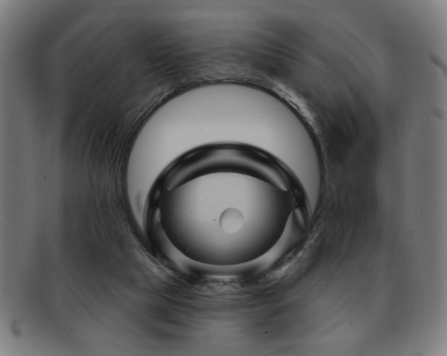 X0000092040065200709121201