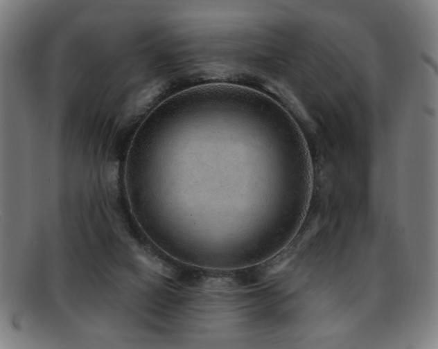 X0000092040066200709121201