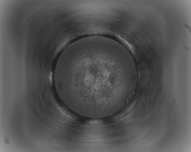 X0000092040067200709121201