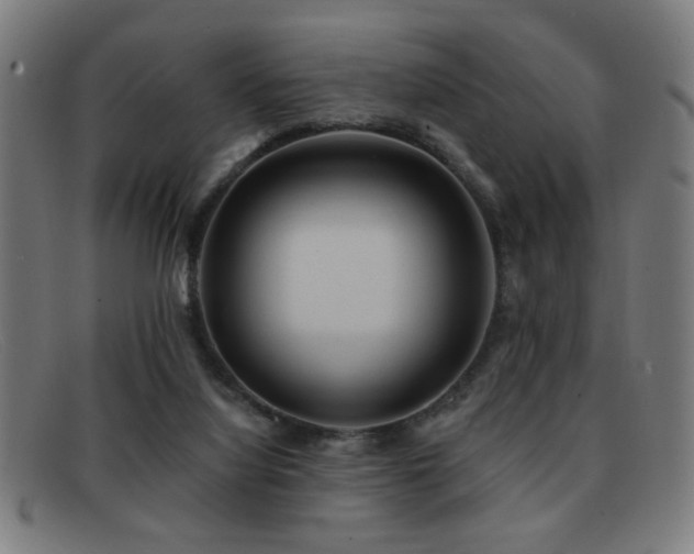 X0000092040068200709121201