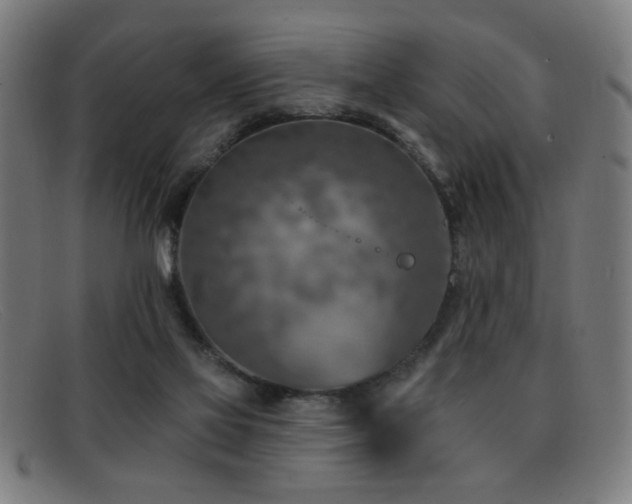 X0000092040069200709121201