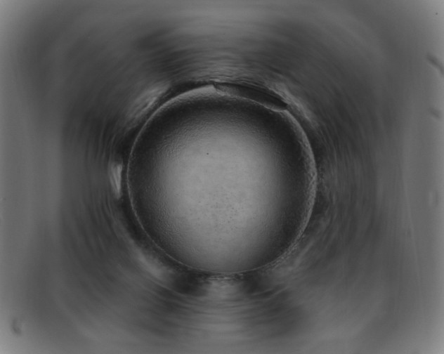 X0000092040070200709121201