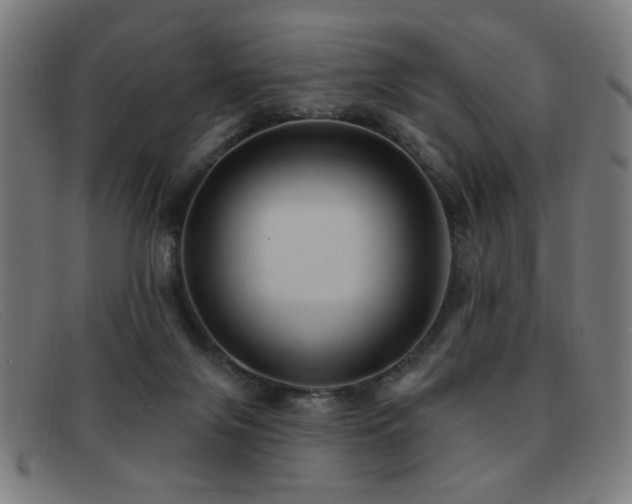 X0000092040071200709121201