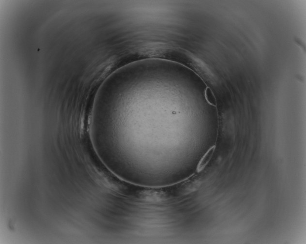 X0000092040073200709121201