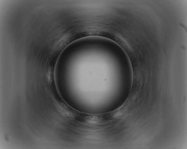 X0000092040074200709121201