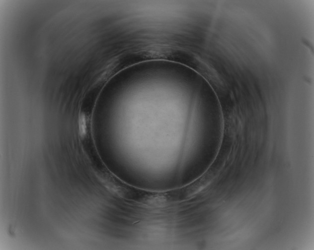 X0000092040075200709121201