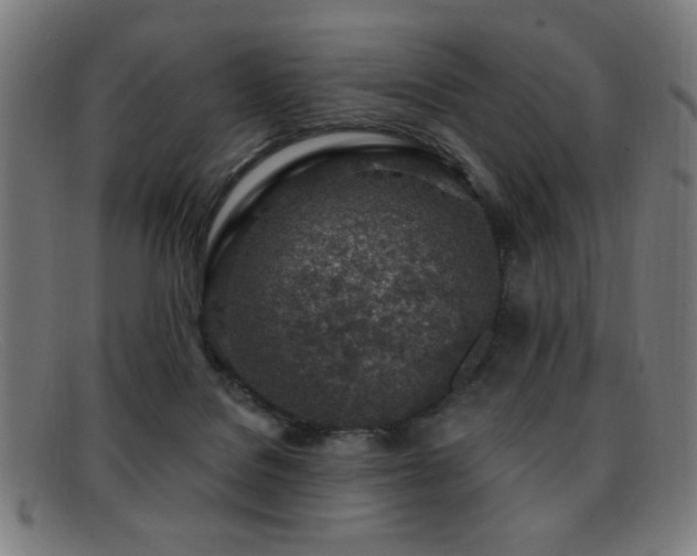 X0000092040076200709121201