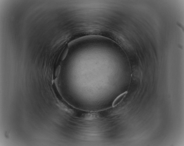 X0000092040077200709121201