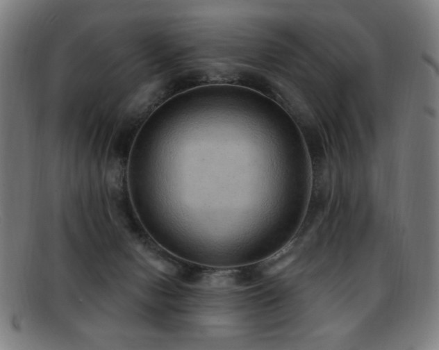 X0000092040078200709121201