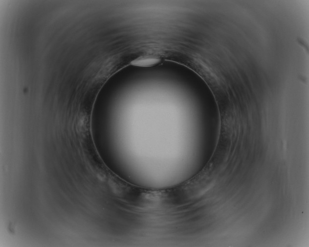 X0000092040079200709121201