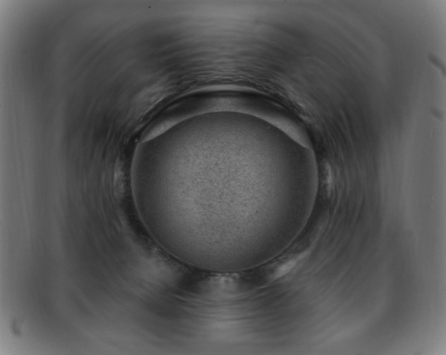 X0000092040080200709121201