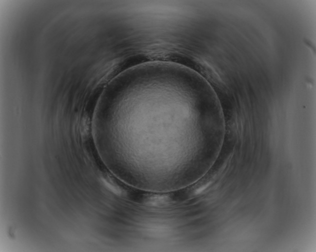 X0000092040081200709121201