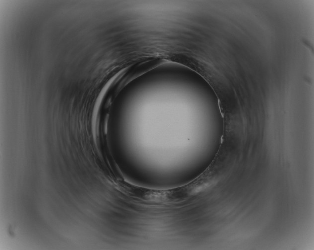 X0000092040084200709121201