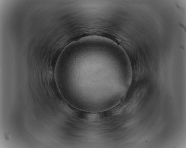 X0000092040085200709121201