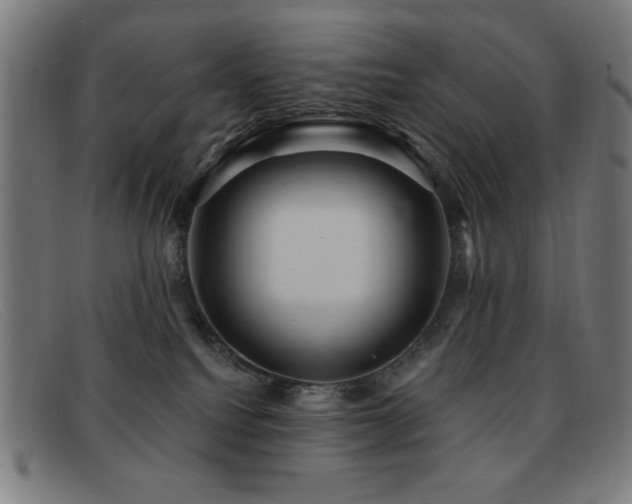 X0000092040088200709121201