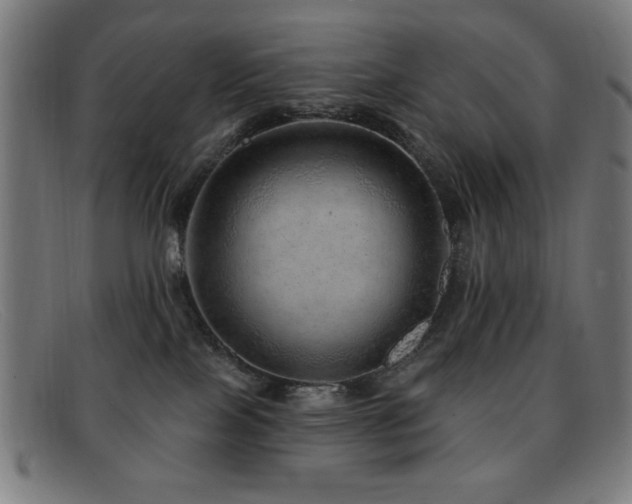 X0000092040089200709121201