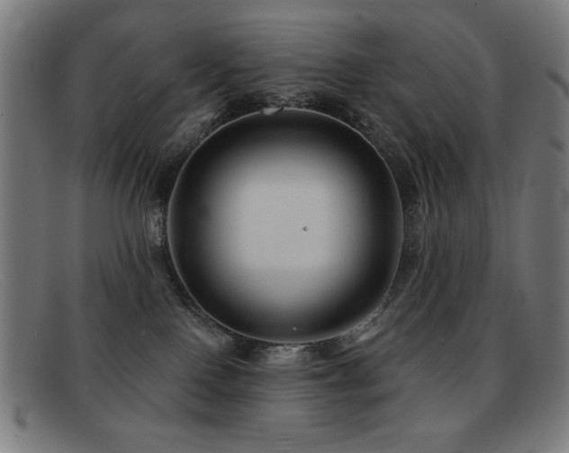 X0000092040090200709121201