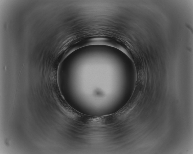 X0000092040092200709121201