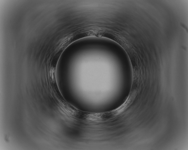 X0000092040094200709121201