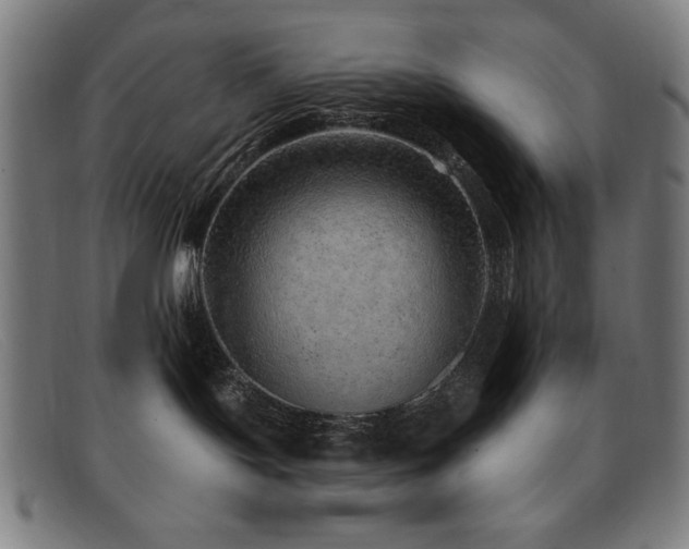 X0000092040095200709121201