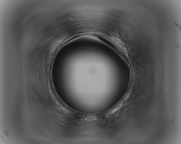 X0000092040097200709121201