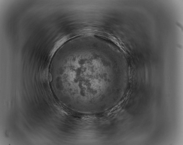 X0000092040099200709121201