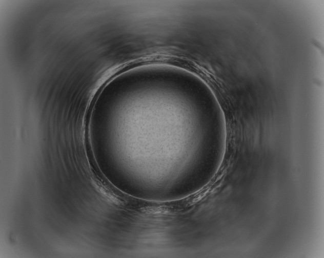 X0000092040100200709121201