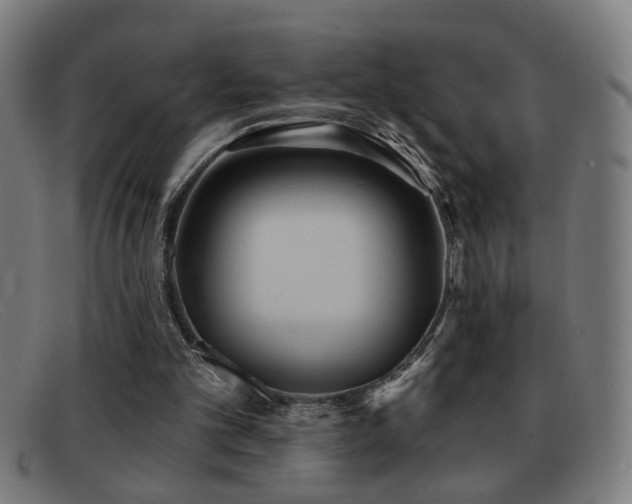 X0000092040101200709121201