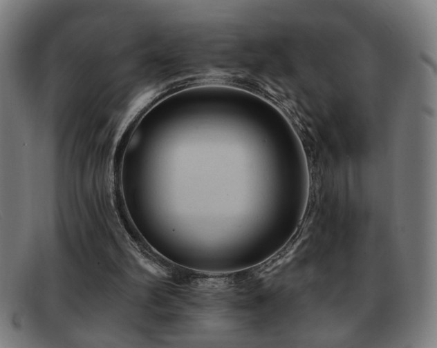 X0000092040102200709121201