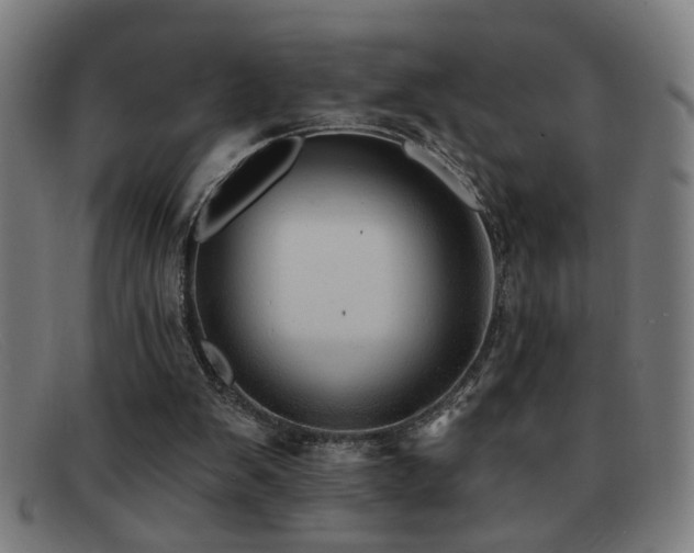 X0000092040103200709121201