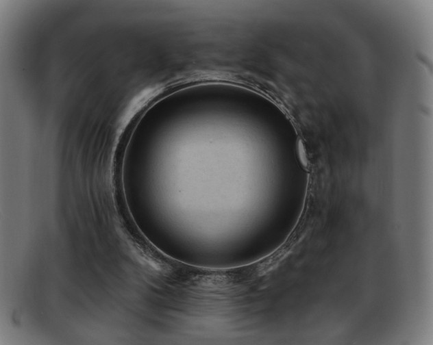 X0000092040104200709121201