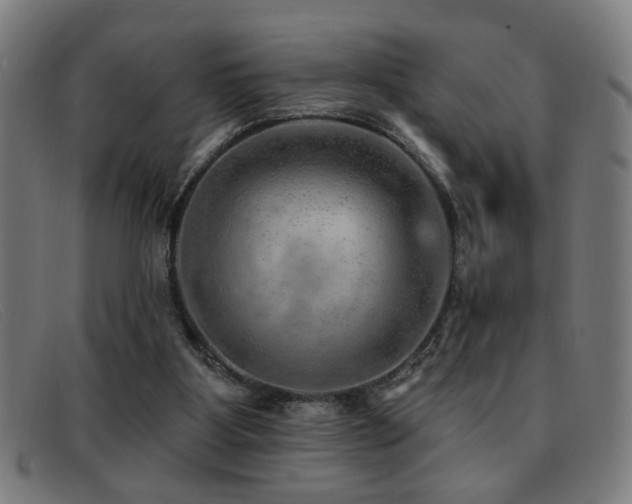 X0000092040107200709121201