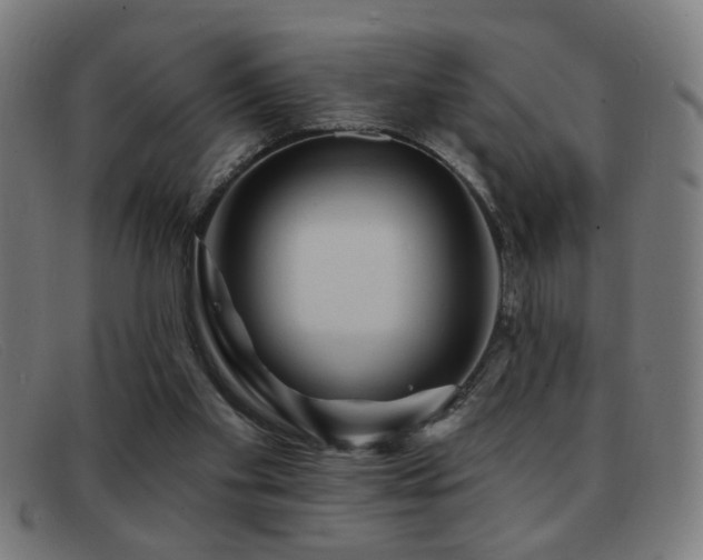 X0000092040109200709121201