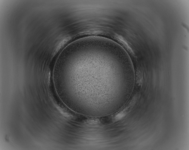 X0000092040110200709121201