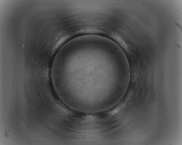 X0000092040111200709121201