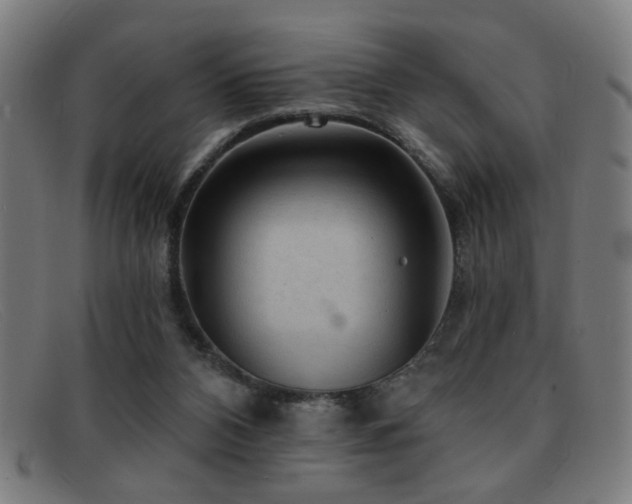 X0000092040112200709121201