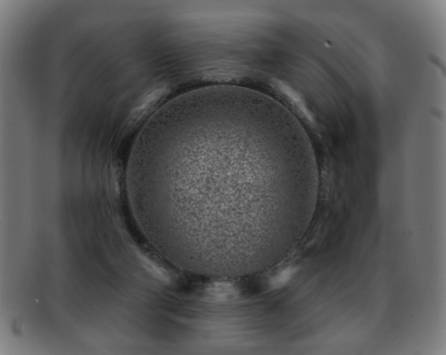 X0000092040114200709121201