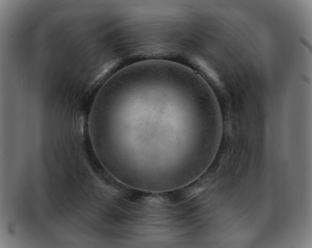 X0000092040115200709121201