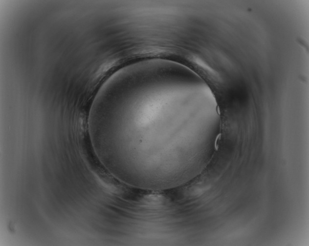 X0000092040119200709121200