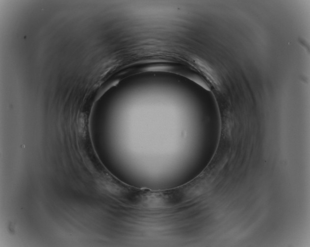 X0000092040121200709121200