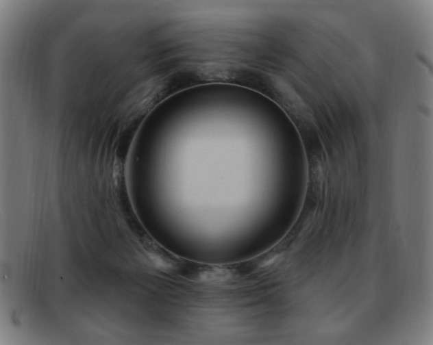 X0000092040125200709121200