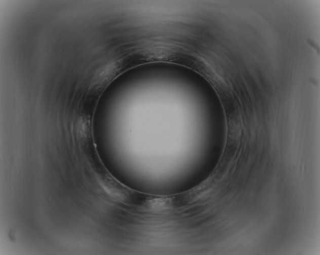 X0000092040126200709121200