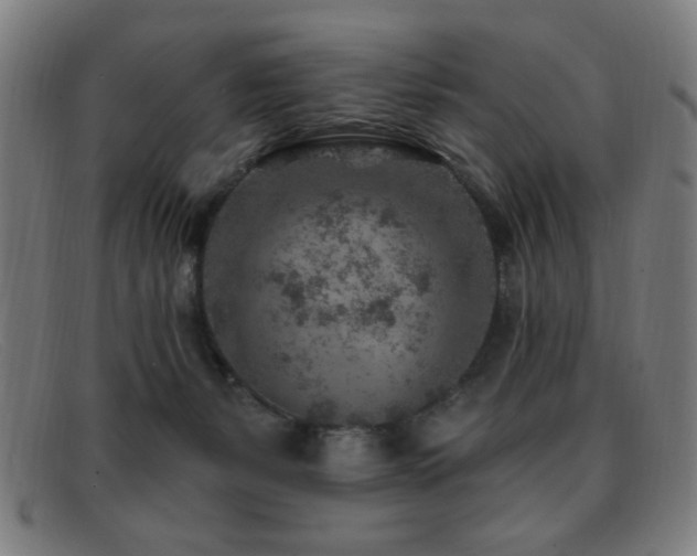 X0000092040127200709121200