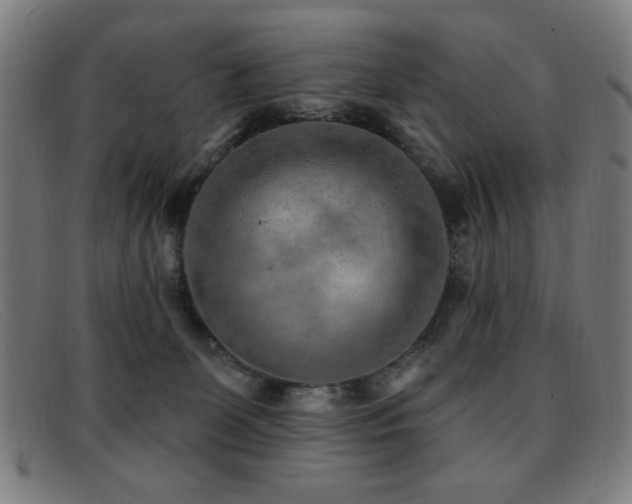 X0000092040131200709121200