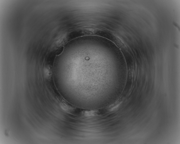 X0000092040134200709121200