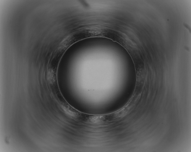 X0000092040136200709121200